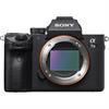 Sony Alpha a7 III 24 Megapixel Full-Frame Digital Camera with 28-70mm Lens